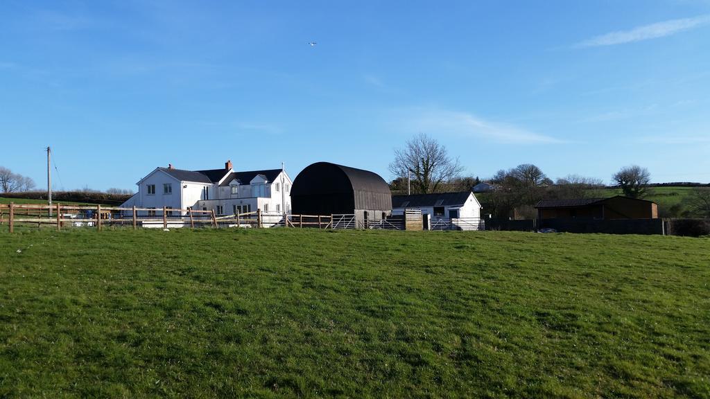 فندق Pantysgyfarnog Near Carmarthenshire Pembrokeshire المظهر الخارجي الصورة