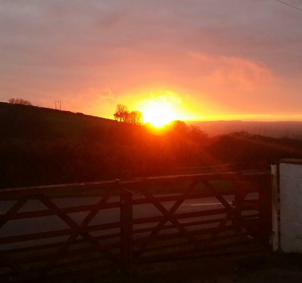 فندق Pantysgyfarnog Near Carmarthenshire Pembrokeshire المظهر الخارجي الصورة